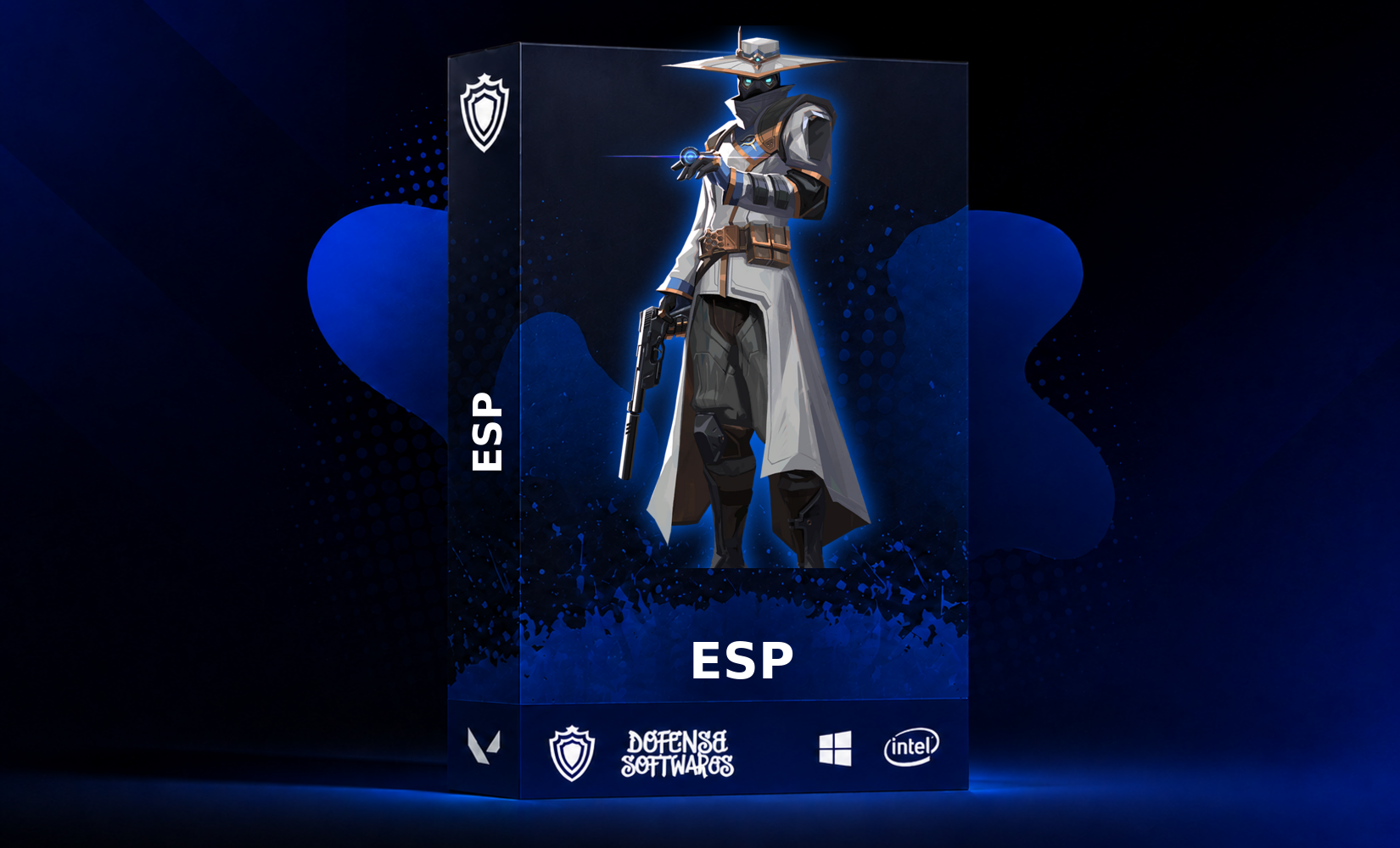 Defense Valorant ESP